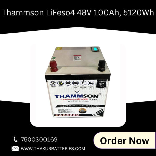 Thammson LiFeso4 48V 100 Ah ,5120Wh