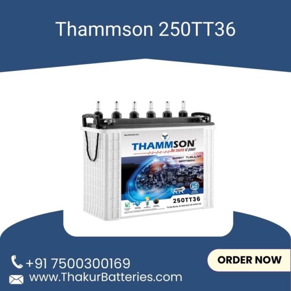 THAMMSON 250TT36