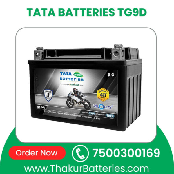 TATA BATTERIES TG9D