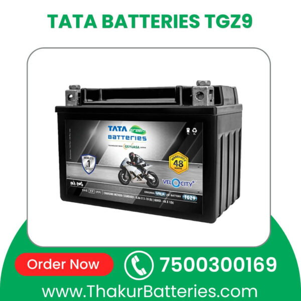 TATA BATTERIES TGZ9